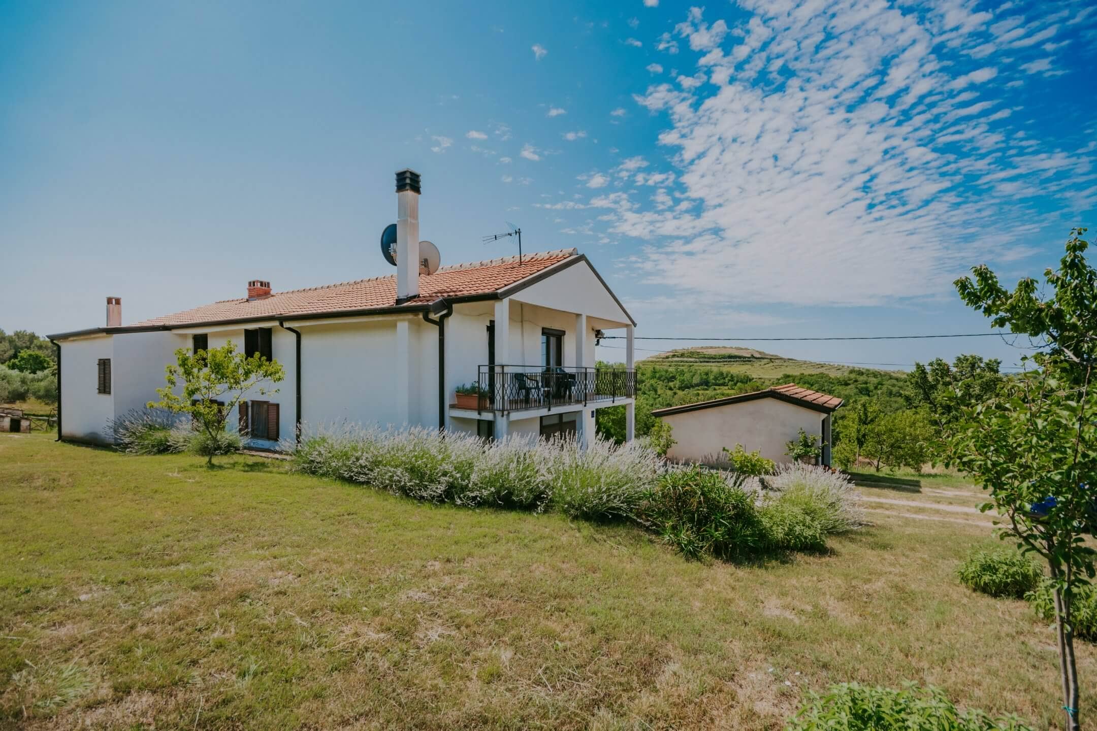 Buje okolica | Imanje na osami s velikim potencijalom Buje okolica | Imanje na osami s velikim potencijalom