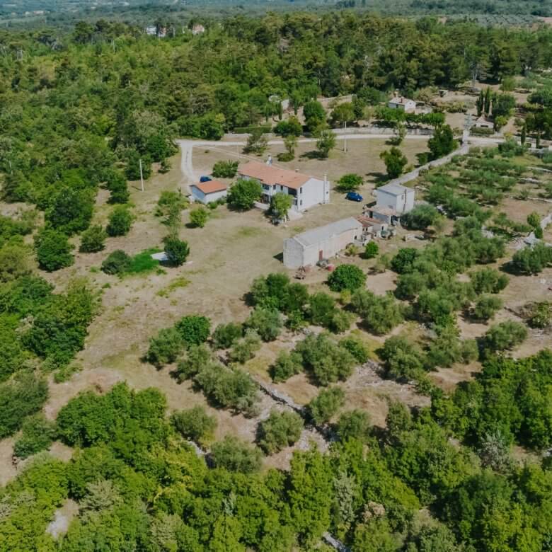 Buje okolica | Posest na samem z velikim potencijalom