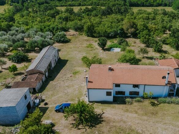 Buje okolica | Posest na samem z velikim potencijalom