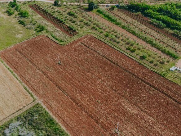 terreno agricolo di Umago ai margini della città