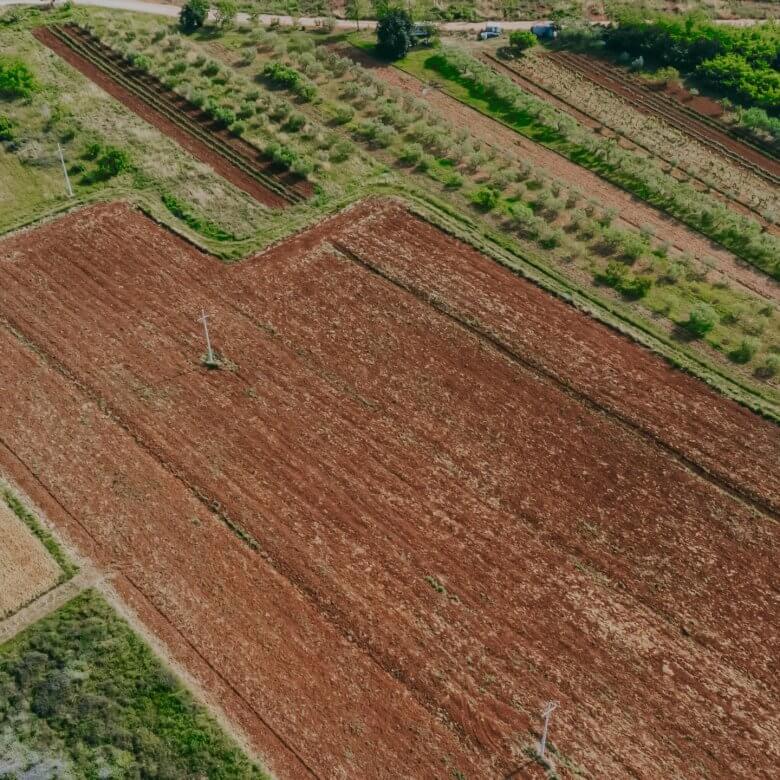 terreno agricolo di Umago ai margini della città