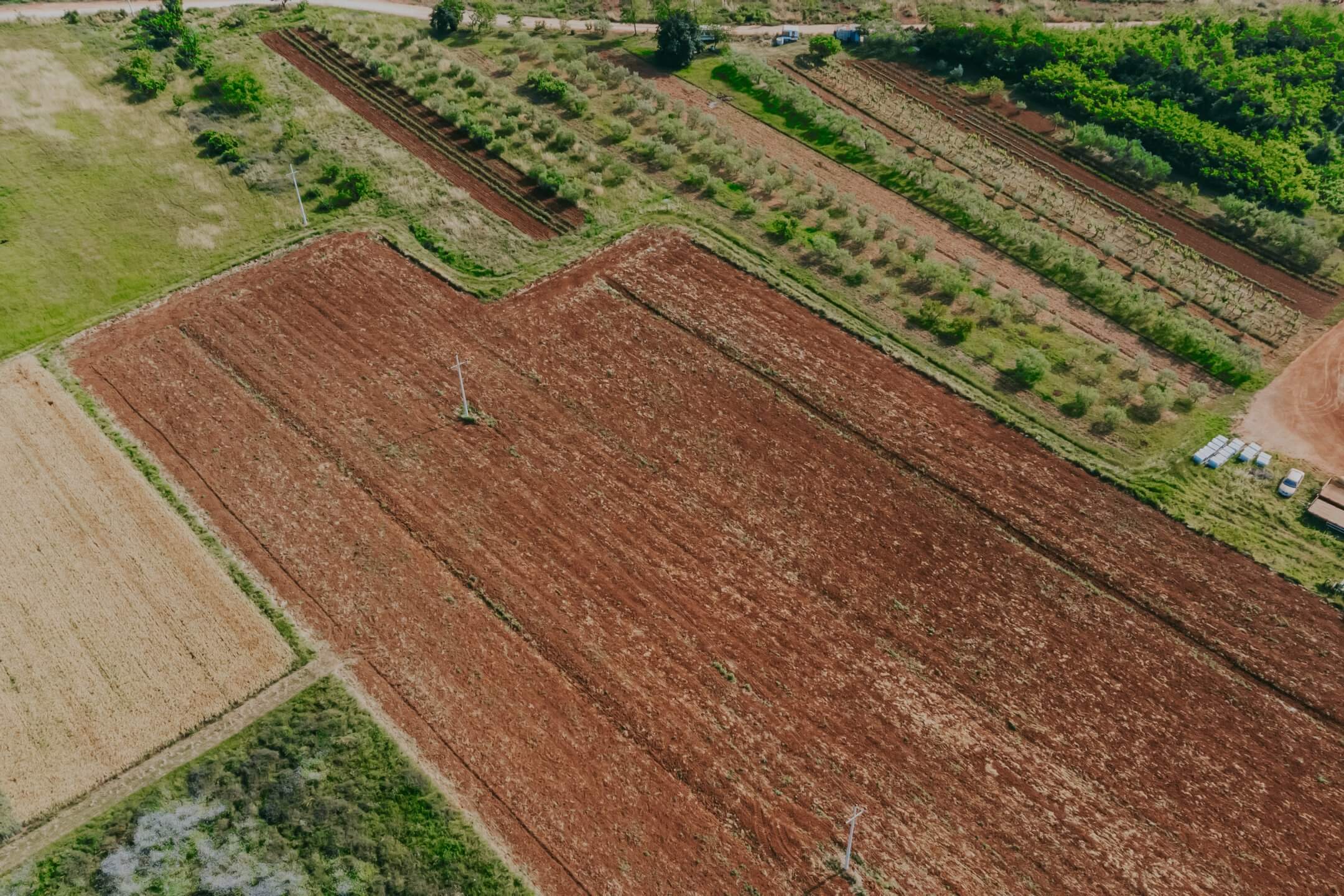 terreno agricolo di Umago ai margini della città