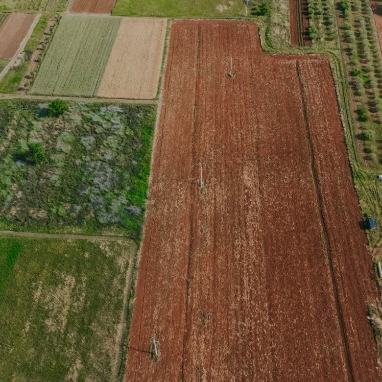 terreno agricolo di Umago ai margini della città
