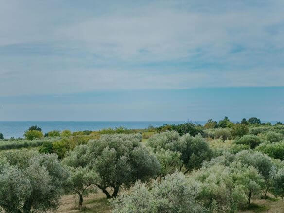 zambratija umag apartment on the second floor with an open view of the sea