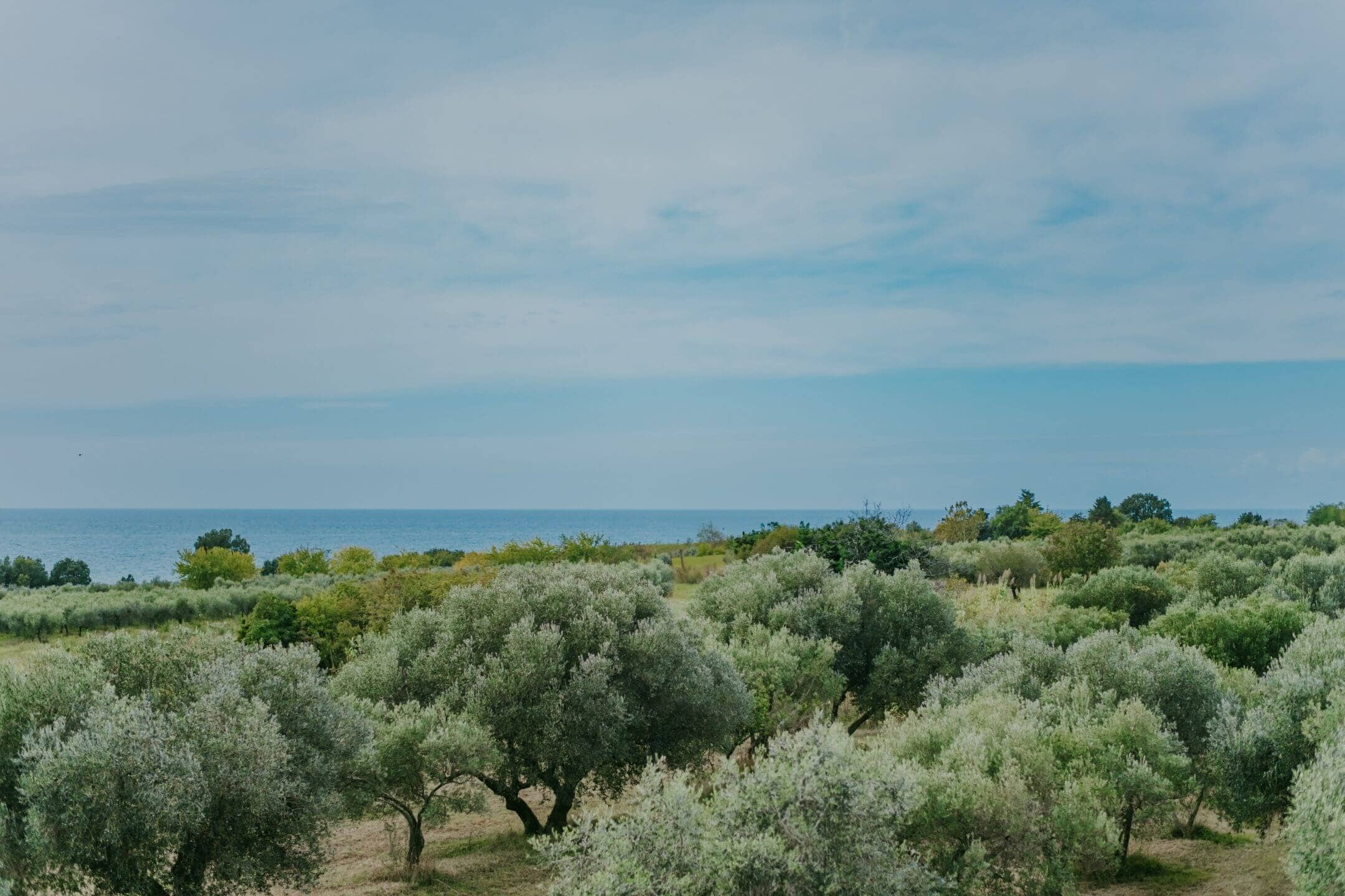 zambratija umag apartment on the second floor with an open view of the sea