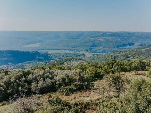 Zavrsje Umgebung: ein Komplex aus Steinhäusern mit zwei Scheunen und abgelegenem Grundstück