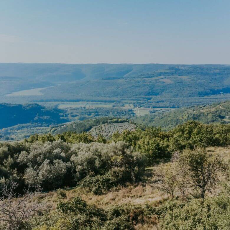 zavrsje surroundings a complex of stone houses with two barns and secluded land