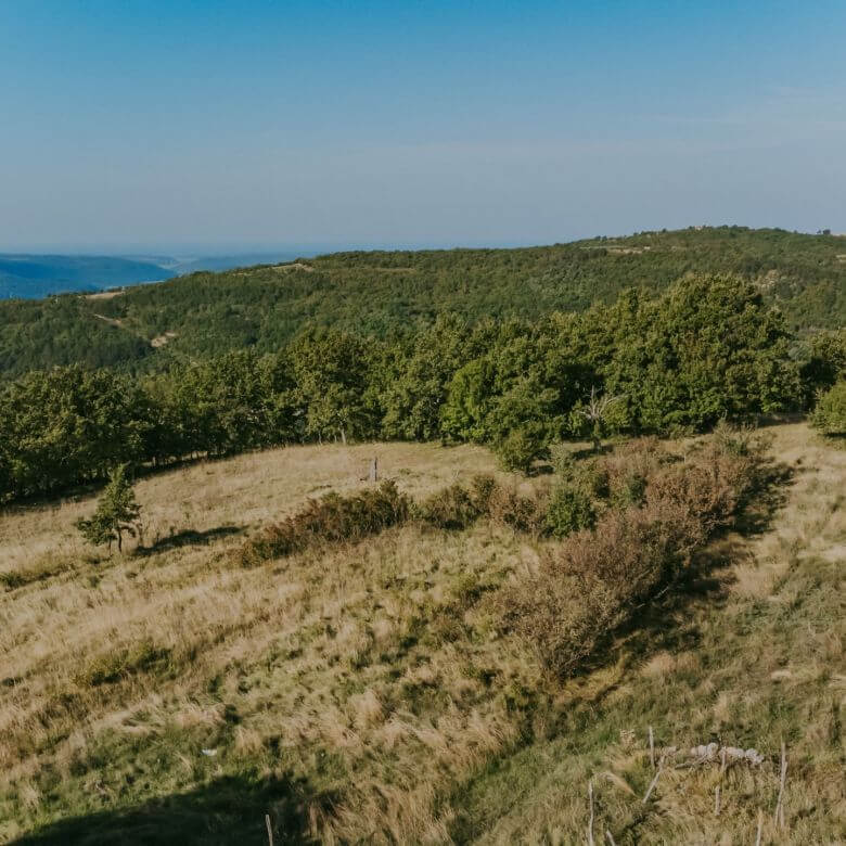 zavrsje surroundings a complex of stone houses with two barns and secluded land