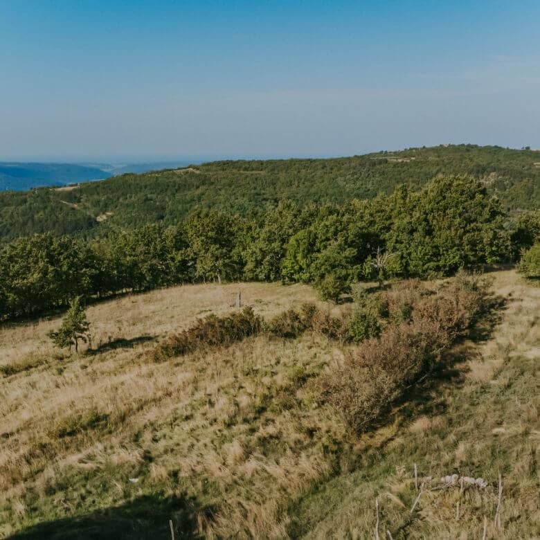 Zavrsje Umgebung: ein Komplex aus Steinhäusern mit zwei Scheunen und abgelegenem Grundstück