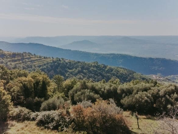 zavrsje surroundings a complex of stone houses with two barns and secluded land