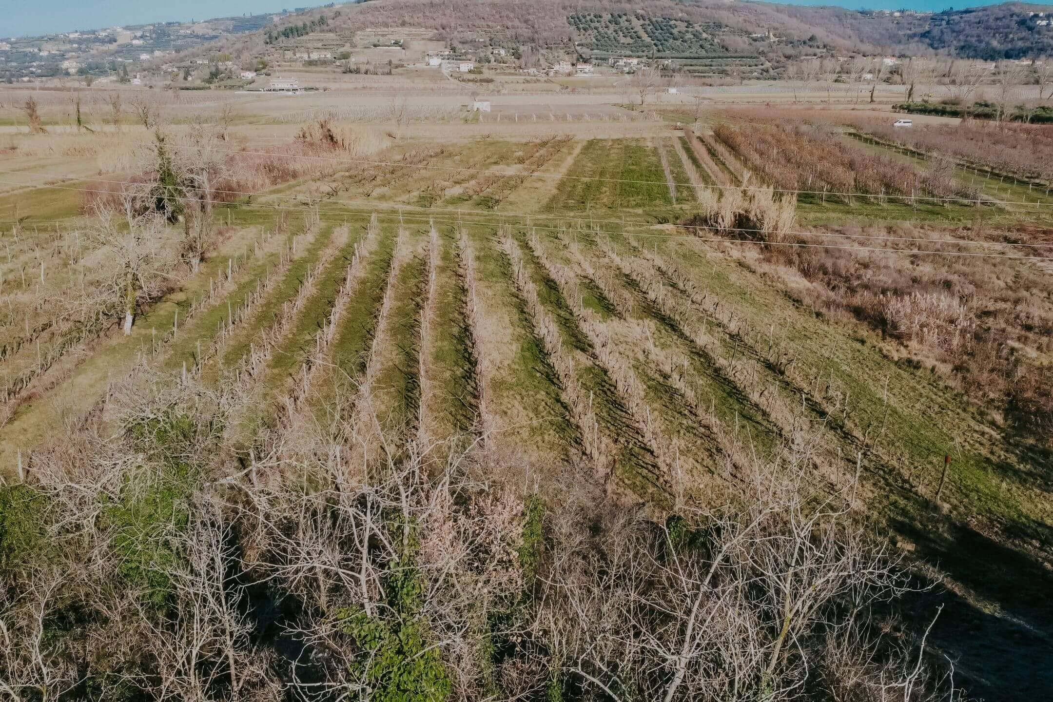 kastel okolica kmetijsko zemljišče z vinogradom