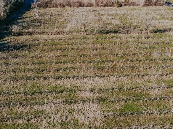 kastel okolica kmetijsko zemljišče z vinogradom
