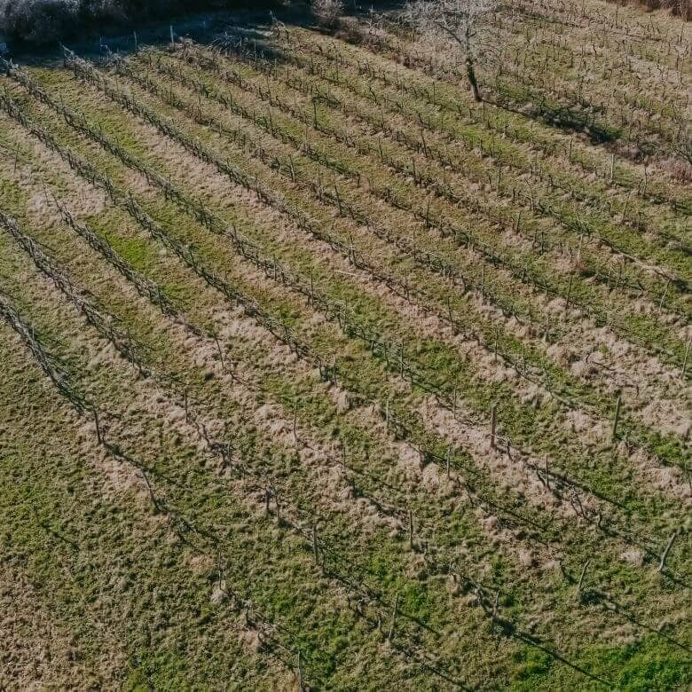 kastel okolica kmetijsko zemljišče z vinogradom