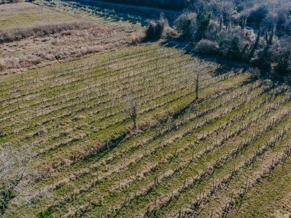 kastel okolica kmetijsko zemljišče z vinogradom