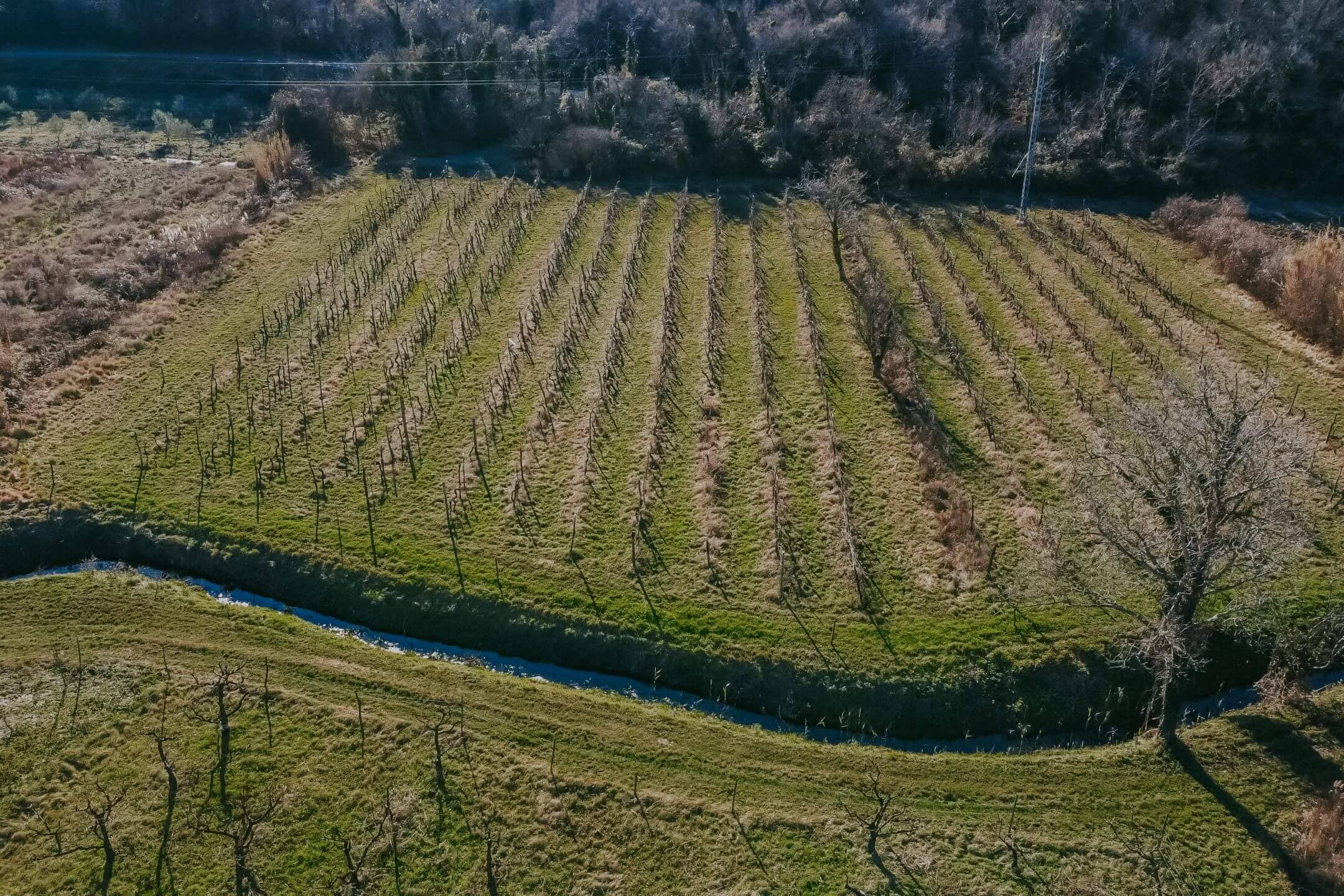 landwirtschaftlich genutzte Fläche mit Weinberg in der Umgebung von Kastel landwirtschaftlich genutzte Fläche mit Weinberg in der Umgebung von Kastel