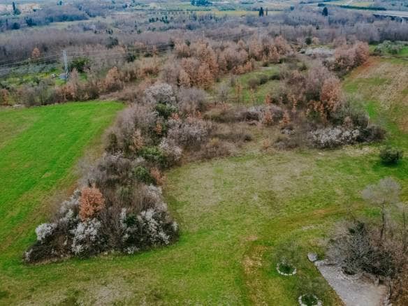 brtonigla okolica poljoprivredno zemljište sa potencijalom
