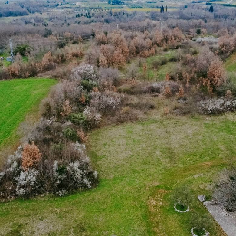 brtonigla okolica poljoprivredno zemljište sa potencijalom