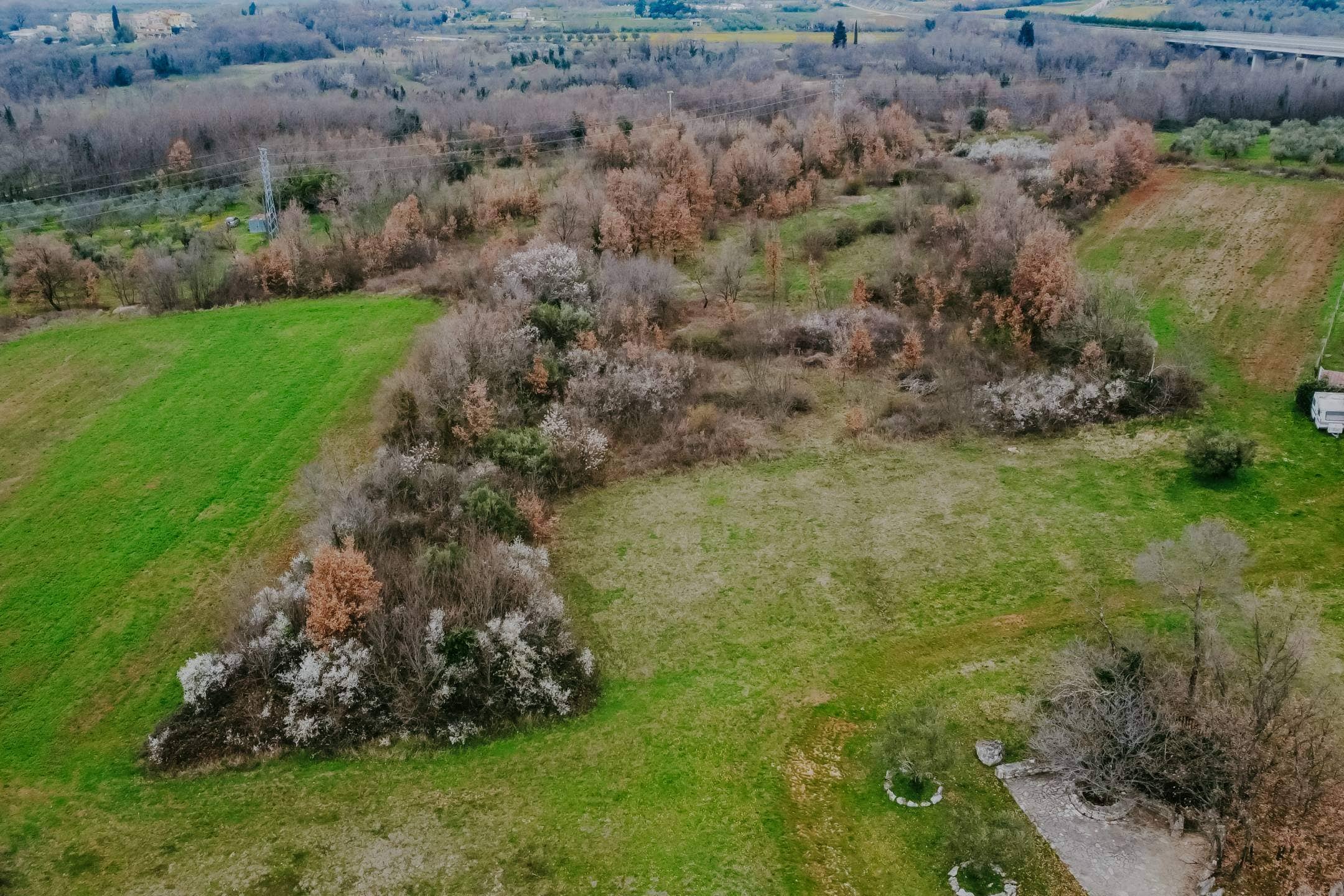 brtonigla okolica poljoprivredno zemljište sa potencijalom