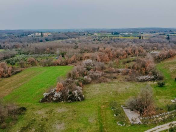 brtonigla surroundings agricultural land with potential