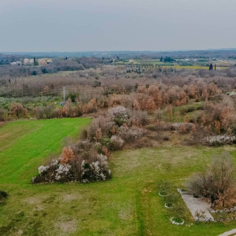 brtonigla okolica poljoprivredno zemljište sa potencijalom