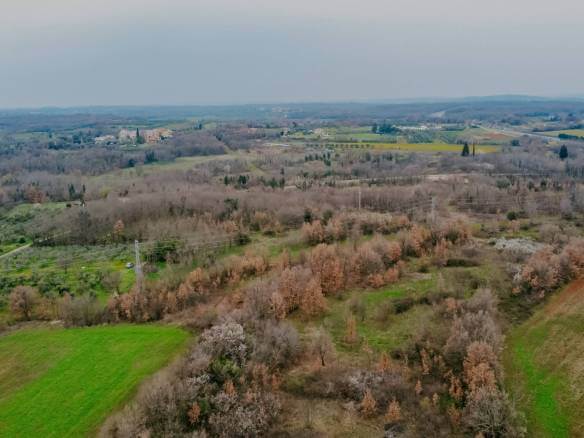 brtonigla surroundings agricultural land with potential