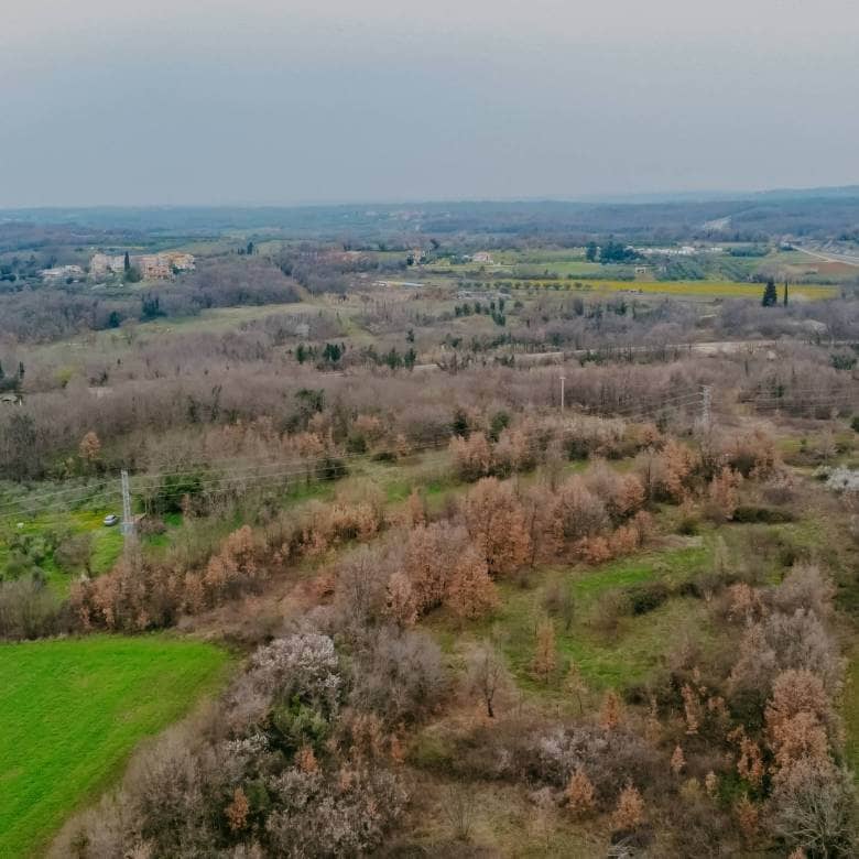 brtonigla okolica poljoprivredno zemljište sa potencijalom