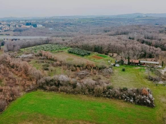 brtonigla okolica poljoprivredno zemljište sa potencijalom