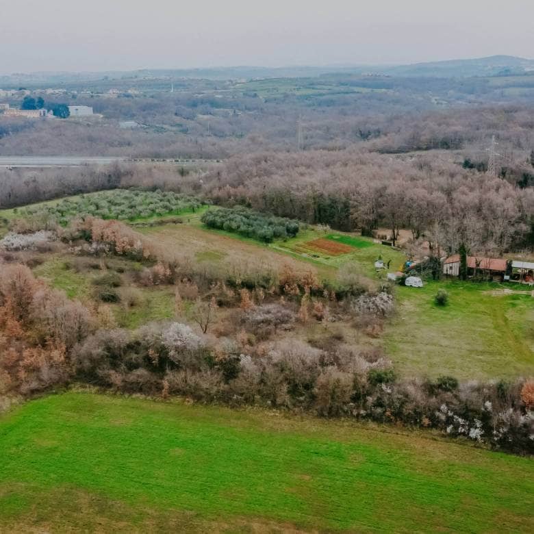 brtonigla okolica poljoprivredno zemljište sa potencijalom