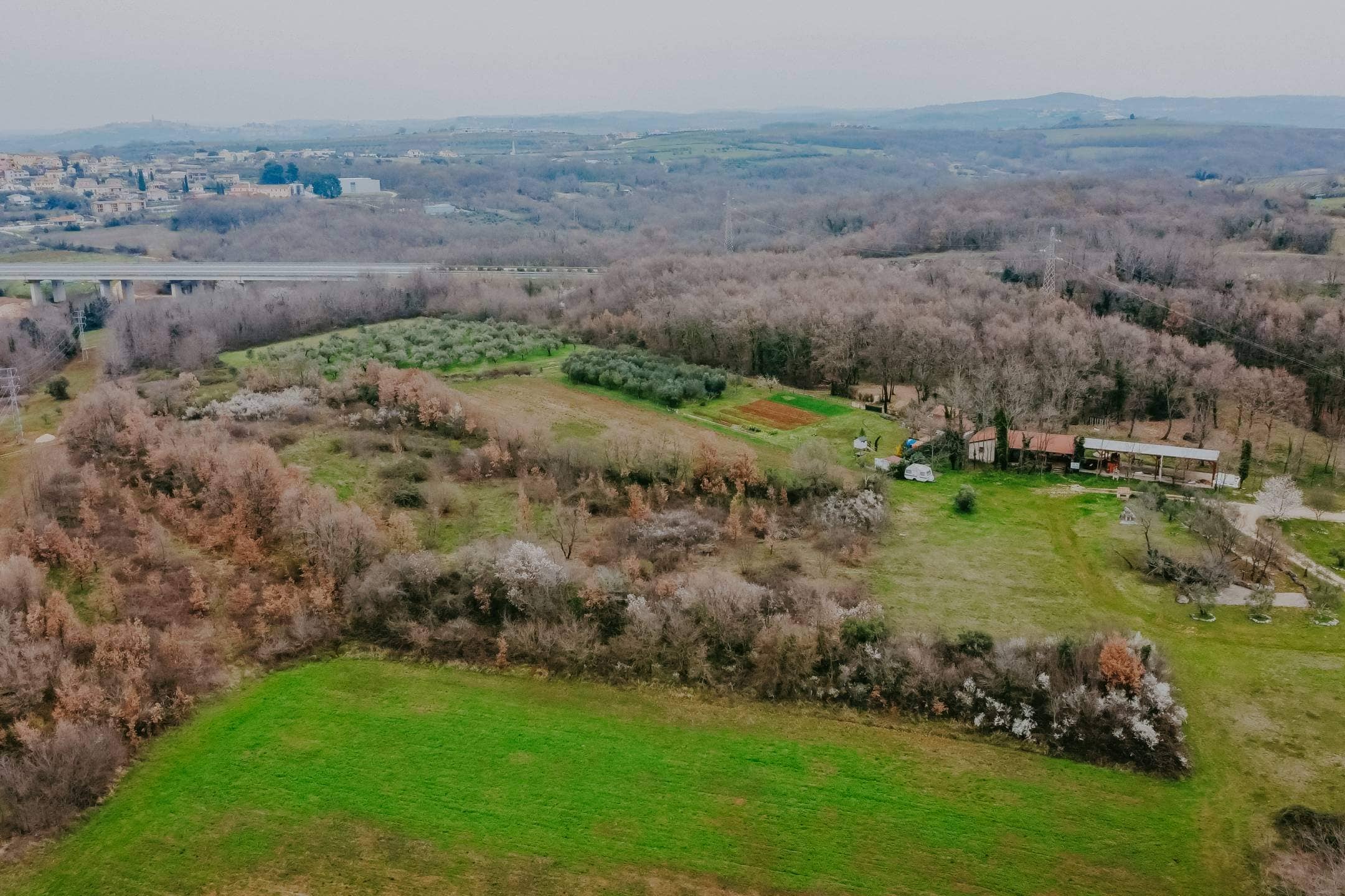 brtonigla okolica poljoprivredno zemljište sa potencijalom