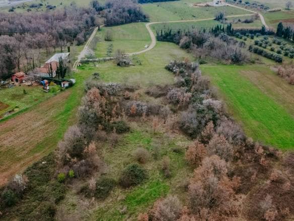 brtonigla okolica poljoprivredno zemljište sa potencijalom