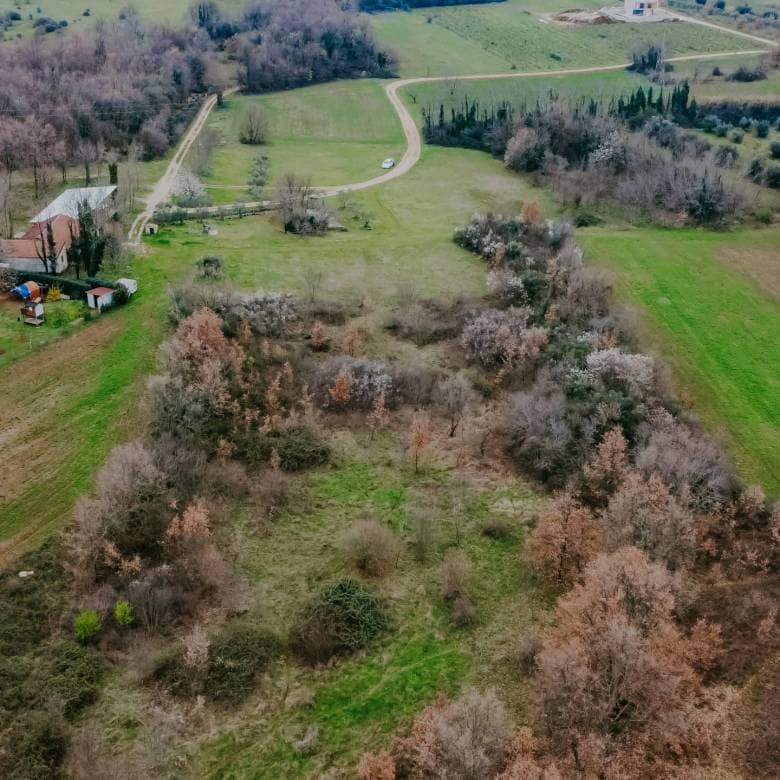 brtonigla okolica poljoprivredno zemljište sa potencijalom
