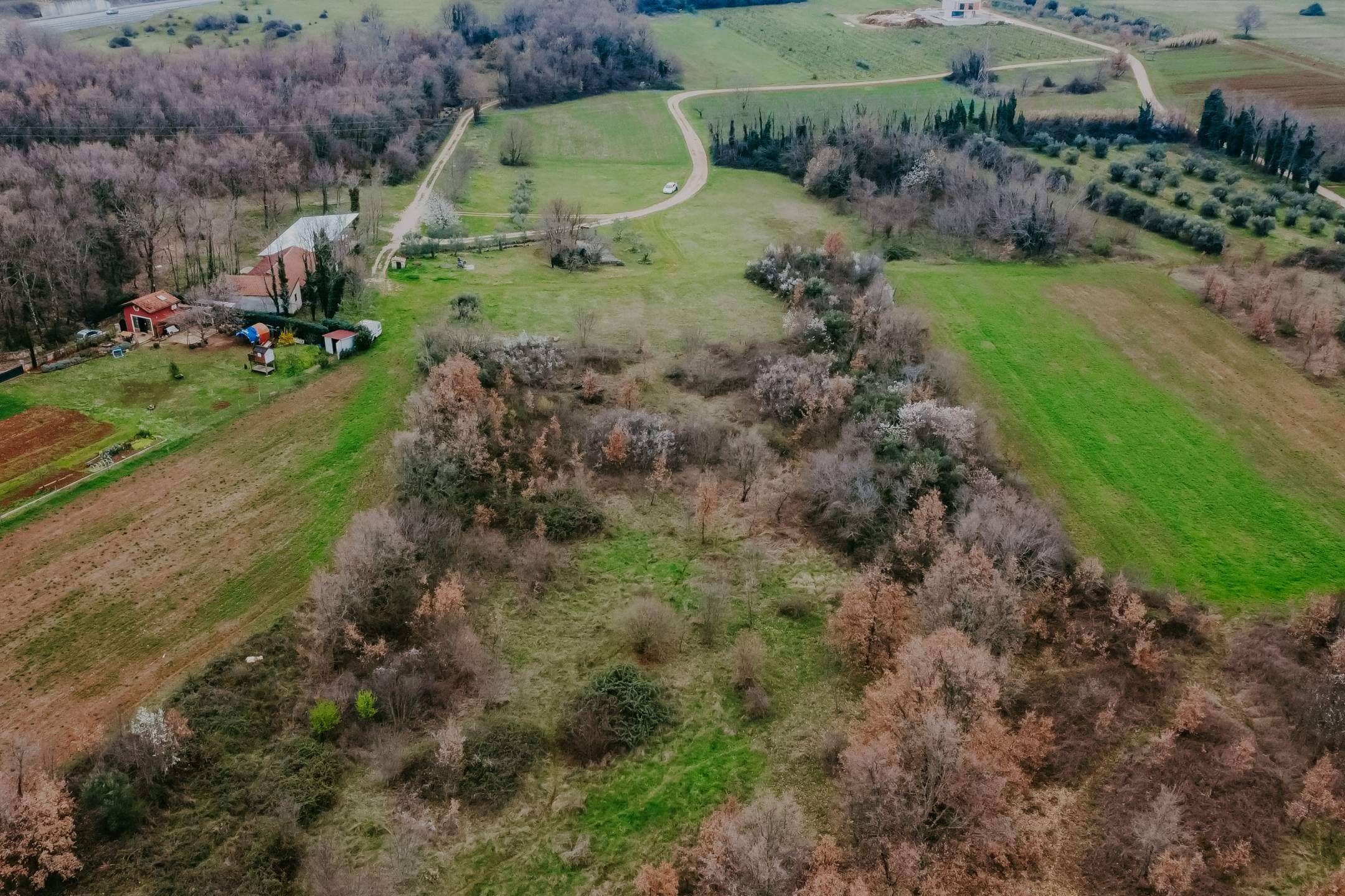 brtonigla okolica poljoprivredno zemljište sa potencijalom
