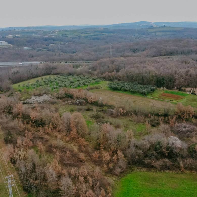 brtonigla okolica poslovno građevinsko zemljište