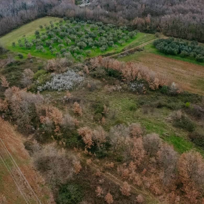brtonigla okolica poslovno građevinsko zemljište