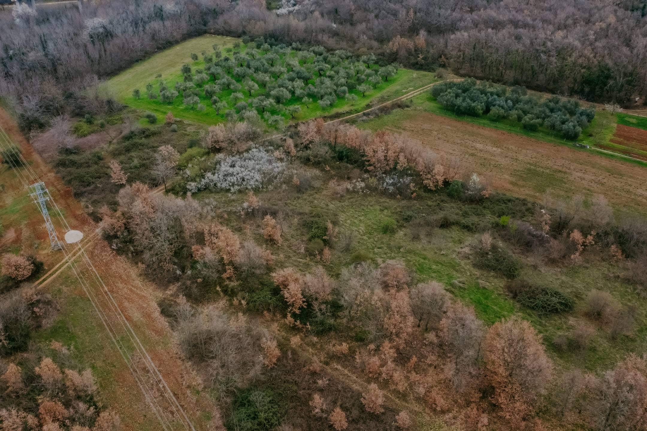 brtonigla okolica poslovno građevinsko zemljište