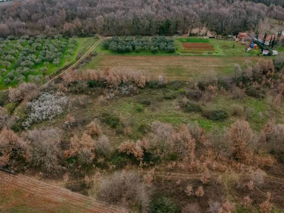 brtonigla okolica poslovno građevinsko zemljište