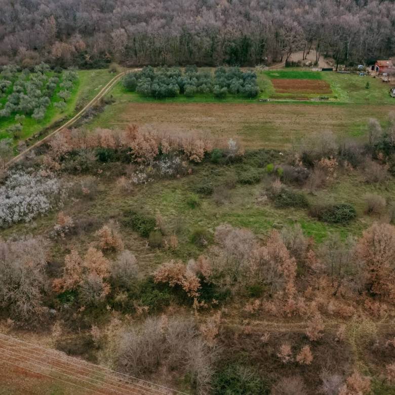 brtonigla okolica poslovno građevinsko zemljište