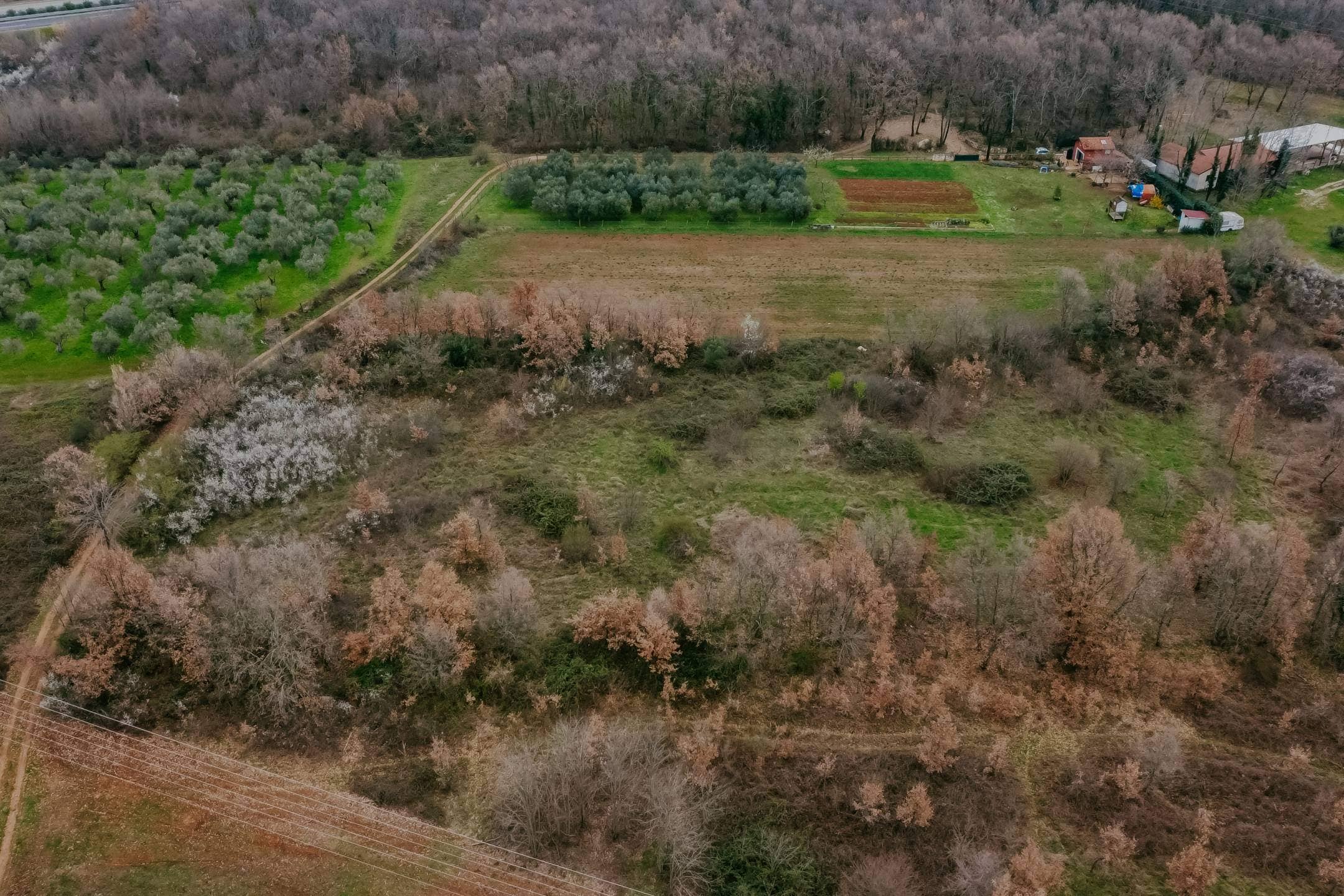 brtonigla okolica poslovno građevinsko zemljište