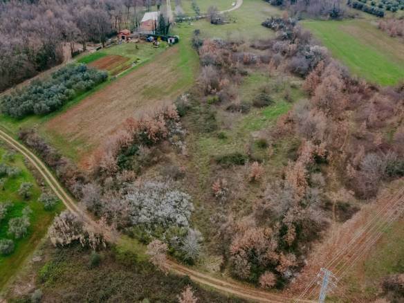 brtonigla okolica poslovno građevinsko zemljište