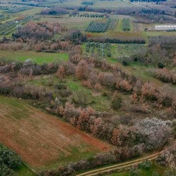 okolica brtonigla poslovno stavbno zemljišče