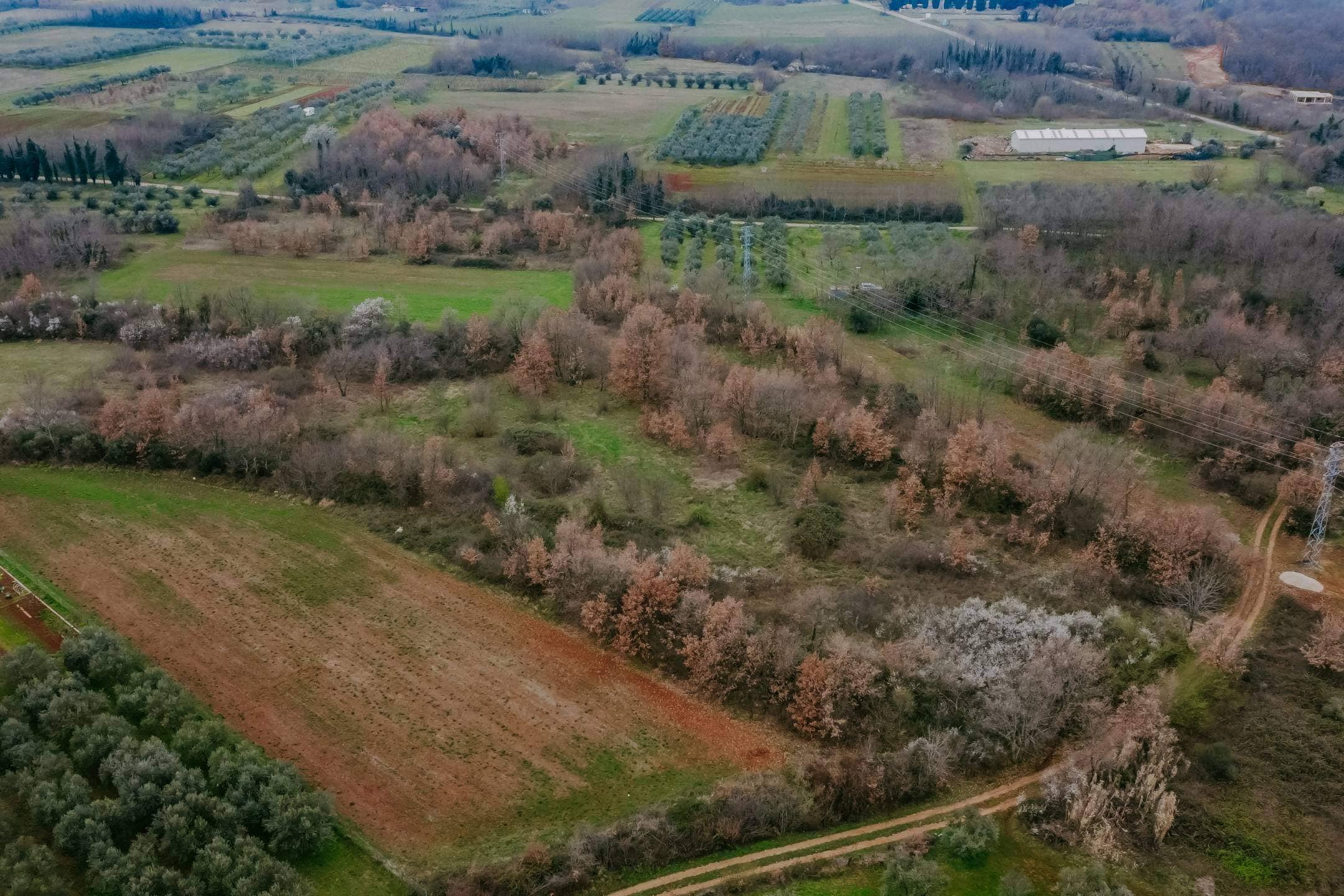 brtonigla okolica poslovno građevinsko zemljište brtonigla okolica poslovno građevinsko zemljište