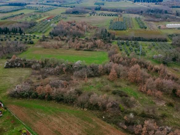 brtonigla okolica poslovno građevinsko zemljište
