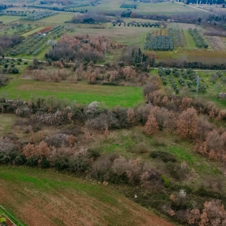 brtonigla okolica poslovno građevinsko zemljište