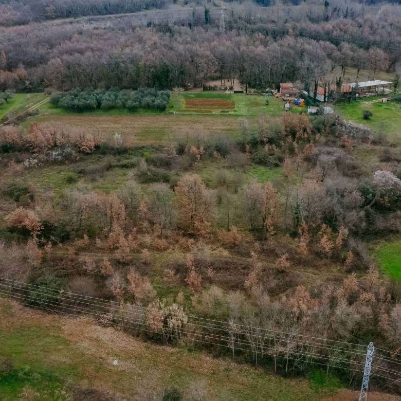 brtonigla okolica poslovno građevinsko zemljište