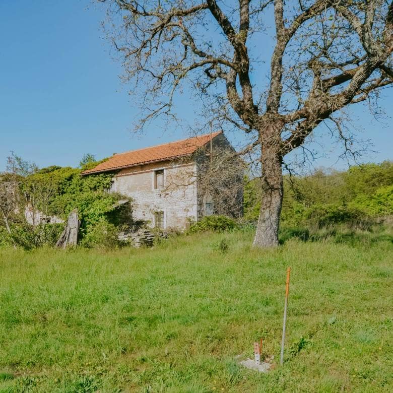 oprtalj prodaju se dvije istarske kamene kuće sa velikom okućnicom