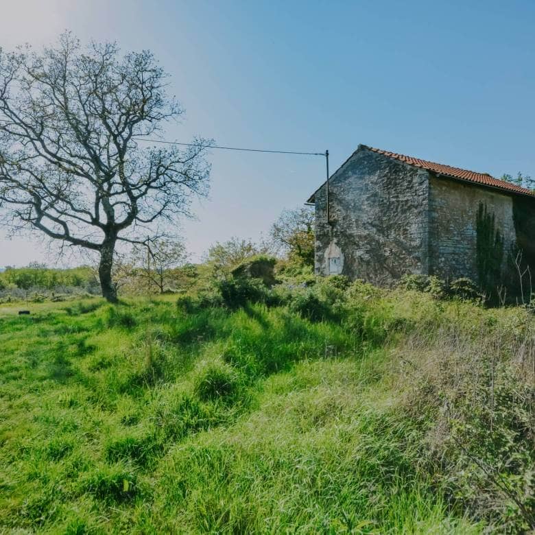 oprtalj prodaju se dvije istarske kamene kuće sa velikom okućnicom