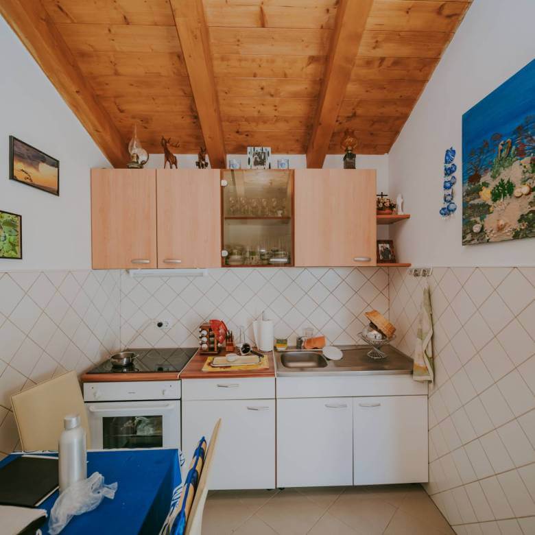 окрестности Ровиня небольшой отдельно стоящий дом в уединенном месте с большим садом