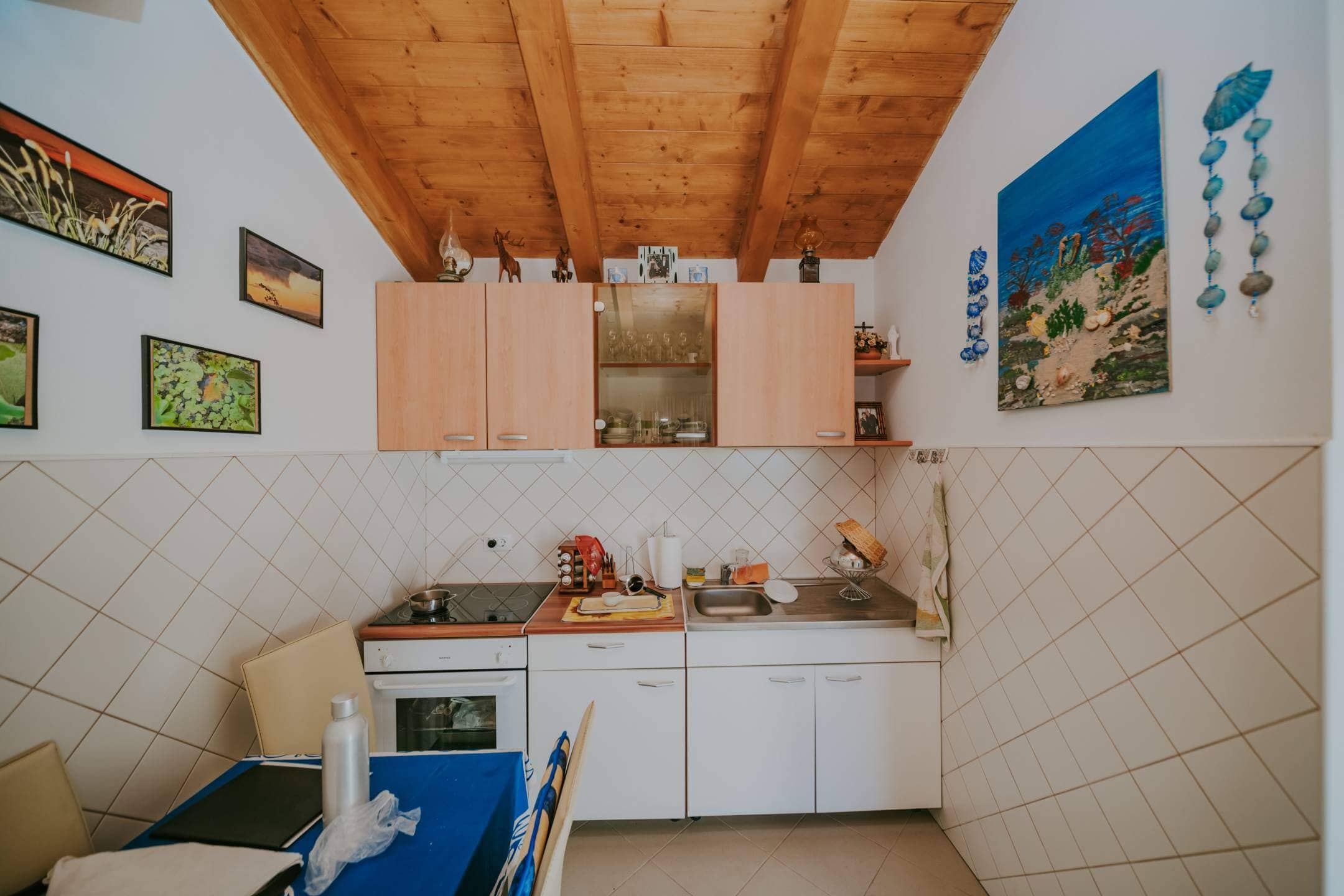 rovinj okolica mala samostojeća kuća na osami sa velikom okućnicom