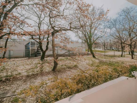 novigrad mareda prekrasna renovirana garsonijera u blizini mora i plaže