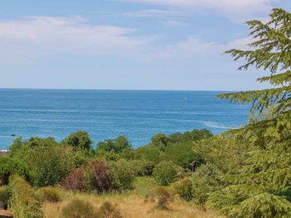 apartmen buje for sale